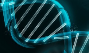 Bioinformatica ADN