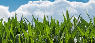 Consejo de la Producción Agraria Ecológica de Navarra