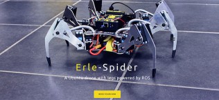 Erle Spider