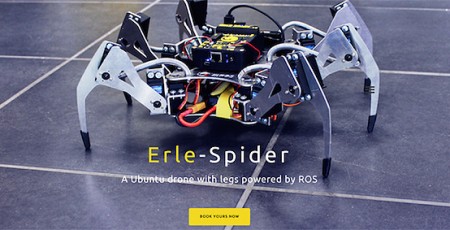 Erle Spider