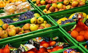 Tecnología agroalimentario